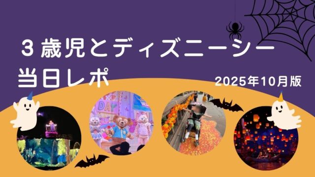 11月22日(日) ディズニーランド 大人2枚 10:30am～入園 eチケット TDL 