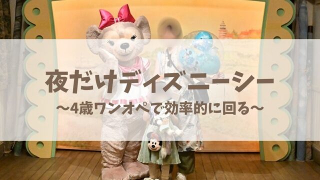 4歳の娘と夕方から訪れた夜の東京ディズニーシー